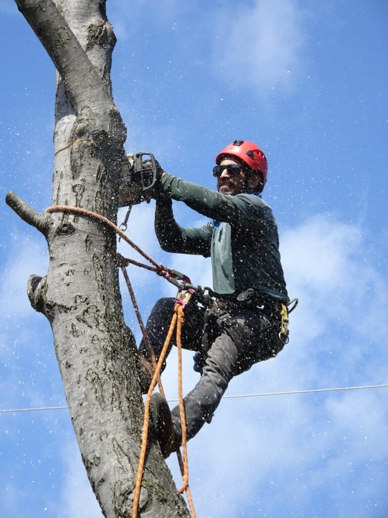 handsom-man-cutting-tree Handsome man performing a tree service with equipment