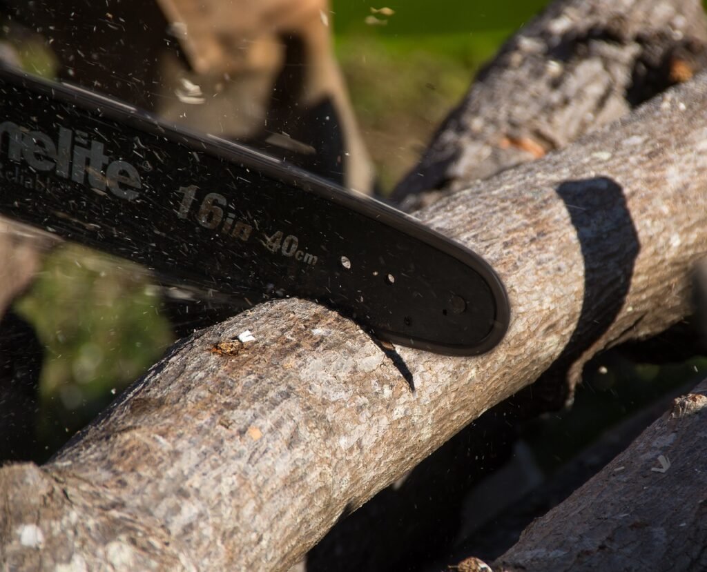 chainsaw to laid down tree close up of a worker taking a chainsaw to a laid down tree