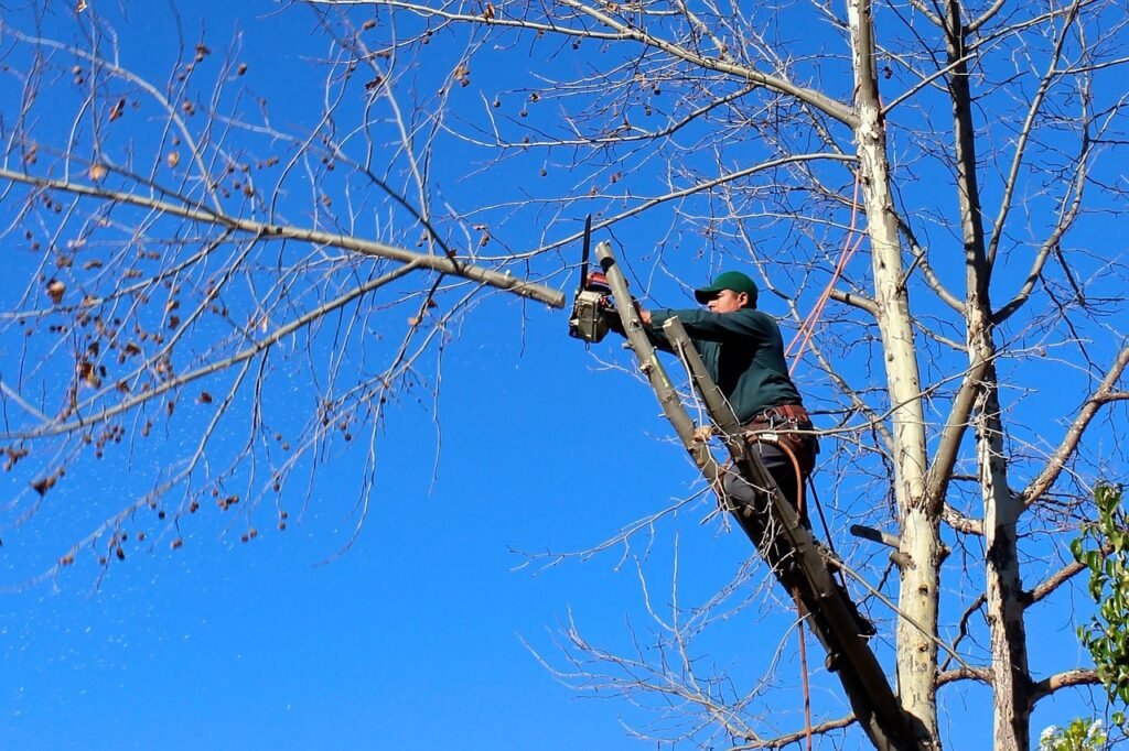 worker tree trimming worker cutting down a tree branch