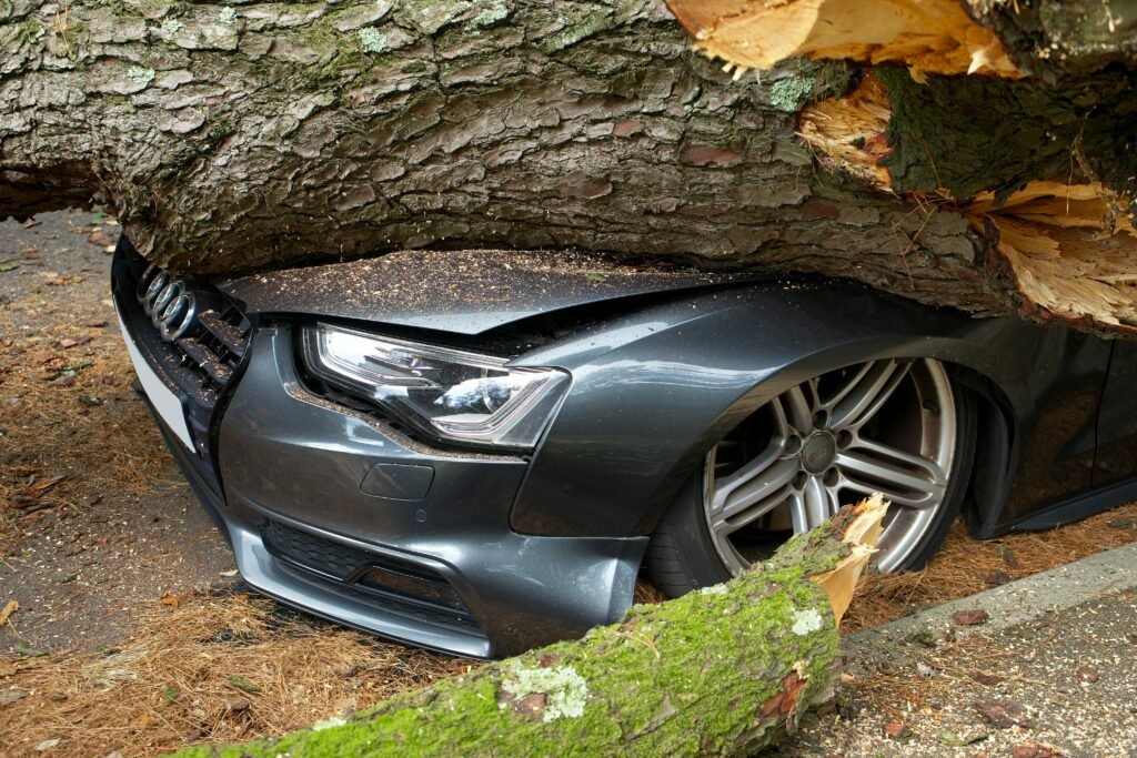 tree on car A vehicle damaged by a tree falling on it