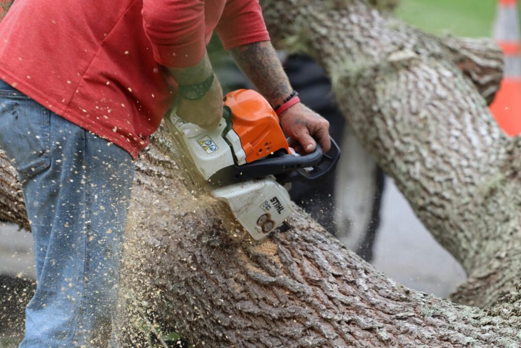 Close up tree chainsaw cutting Close-up of a man using a chainsaw to cut a large tree log outdoors.